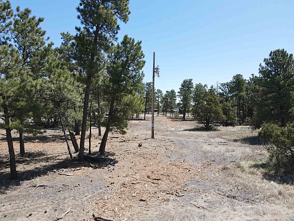 2nd image of Pine St