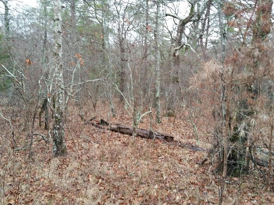20170208_153557