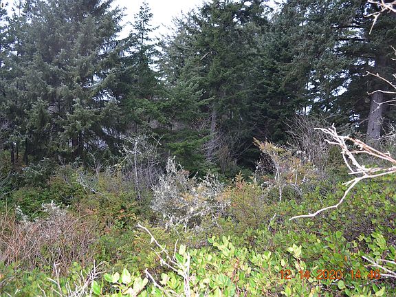 3rd image of Hidden Lake Dr