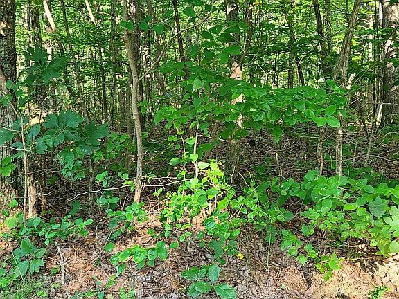 2nd image of 328 Timberwood Trce Lot 328