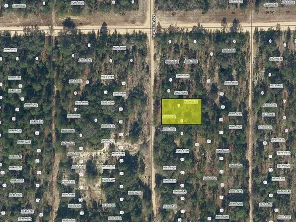SW 55th Ave Lot 7-8, Interlachen, FL 32148