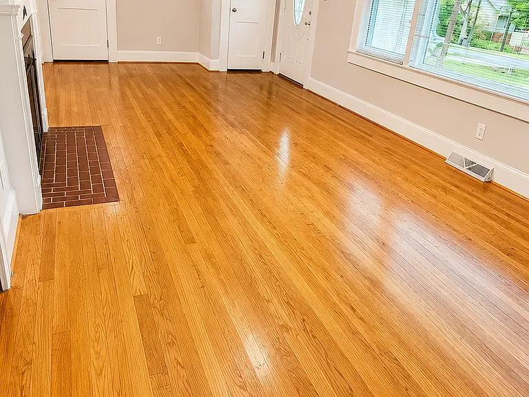 203 Tremont Dr — Photo 3