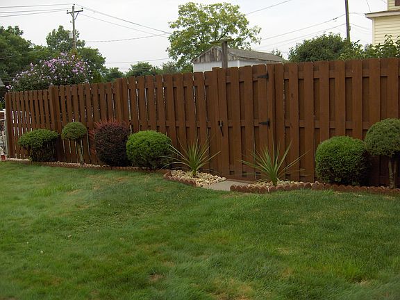 back yard