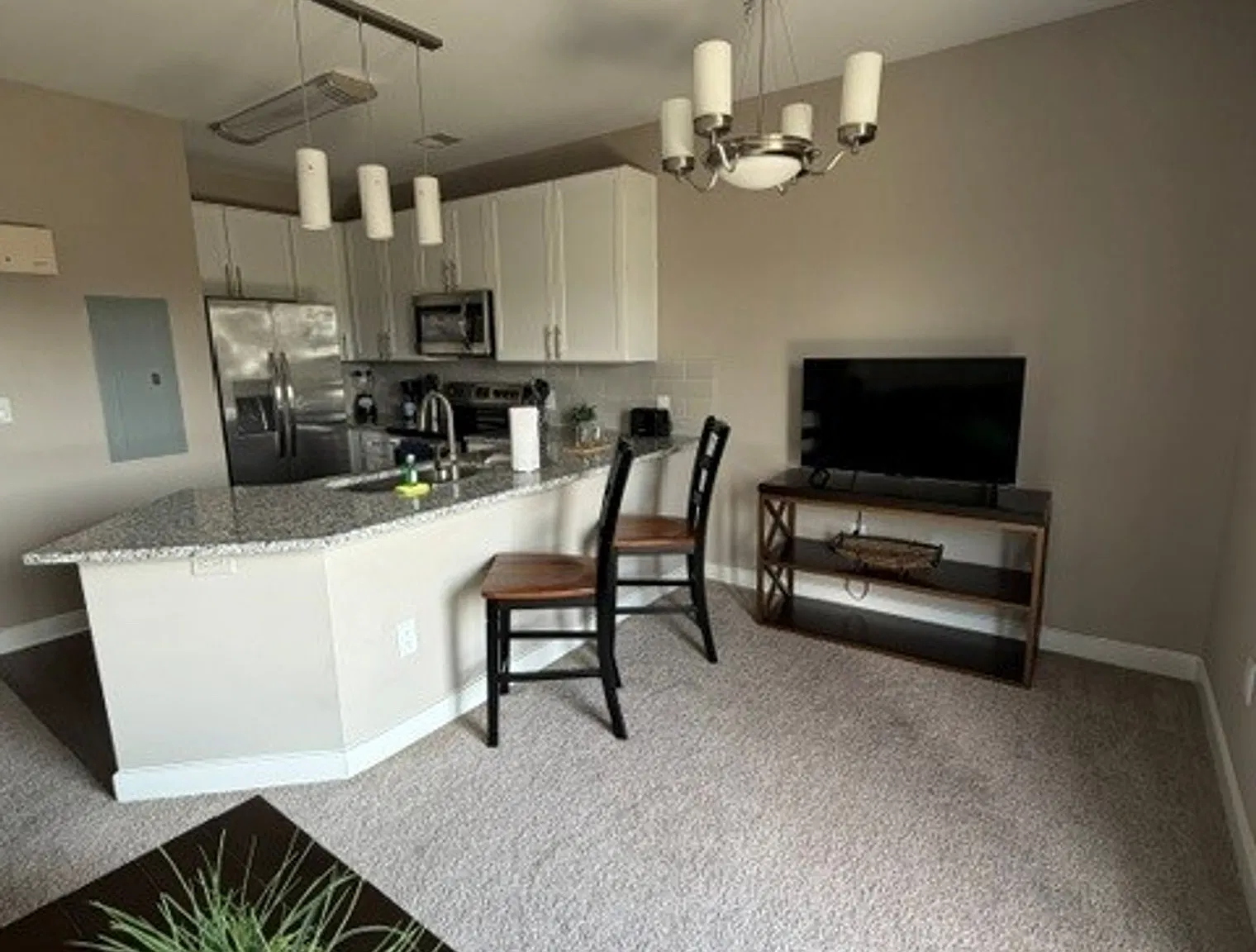 1 bed, 1.0 bath, 635 sqft, $3,183 — Photo 4