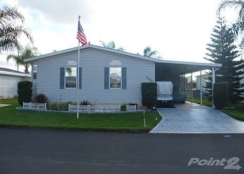 Gorgeous Lot with 2 Norfolk Pines