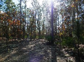 1st image of 4187 N Hatchet Cir