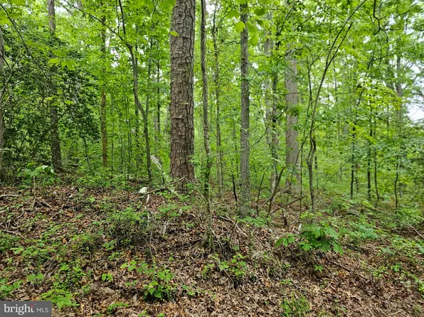 Harris Ct, Mineral, VA 23117