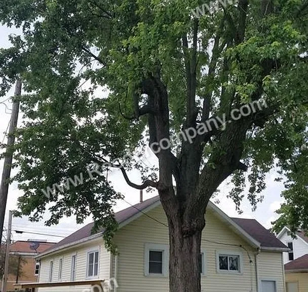 204 W Sigler St — Photo 2