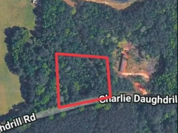 Charlie Daughdrill Rd, Carriere, MS 39426