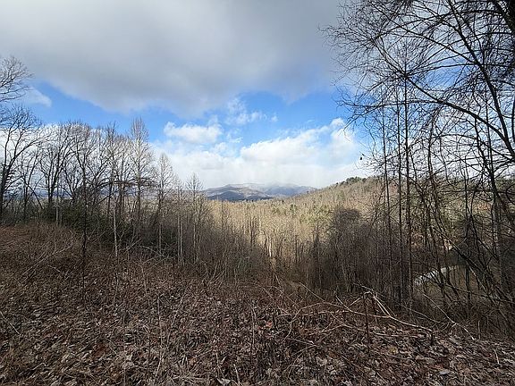 2nd image of 460 Whiteside Gap Rd