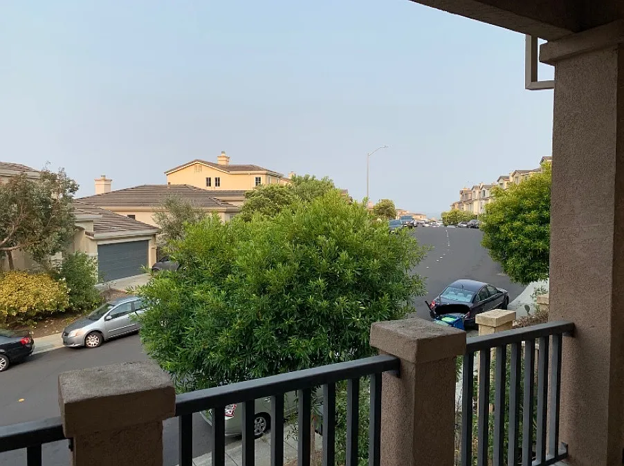 1 bed, 1.0 bath, $1,250 — Photo 4