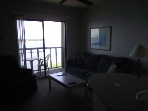 living area with ceiling pan and fire place