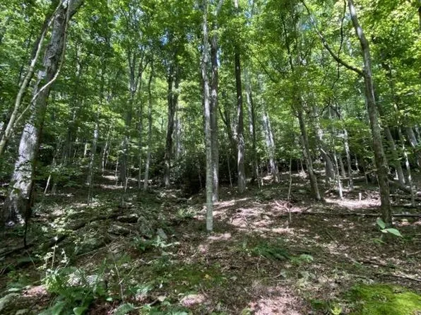 Lots 81 & 82 Tweetsie Lane, Banner Elk, NC 28604