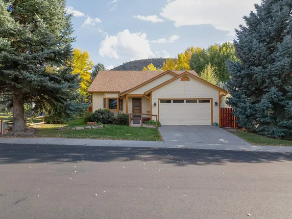 607 Ginseng Rd, New Castle, CO 81647