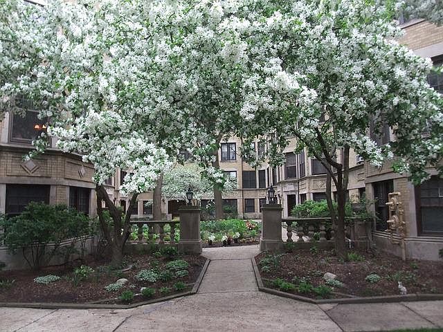 1st image of 1227 W Lunt Ave APT 3B