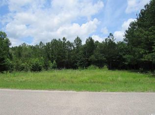 790 Redmond Ct, Conway, SC 29526