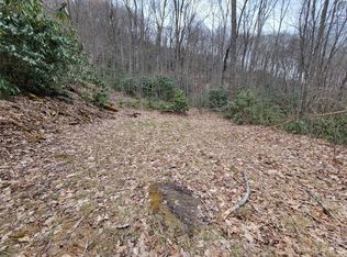 0 Pisgah Mountain Rd, Canton, NC 28716