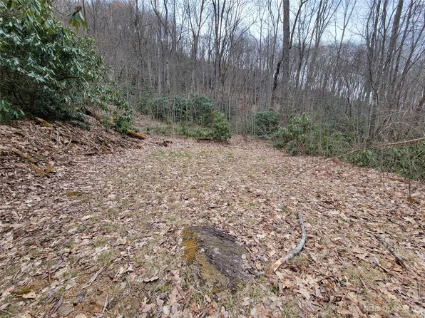 0 Pisgah Mountain Rd, Canton, NC 28716