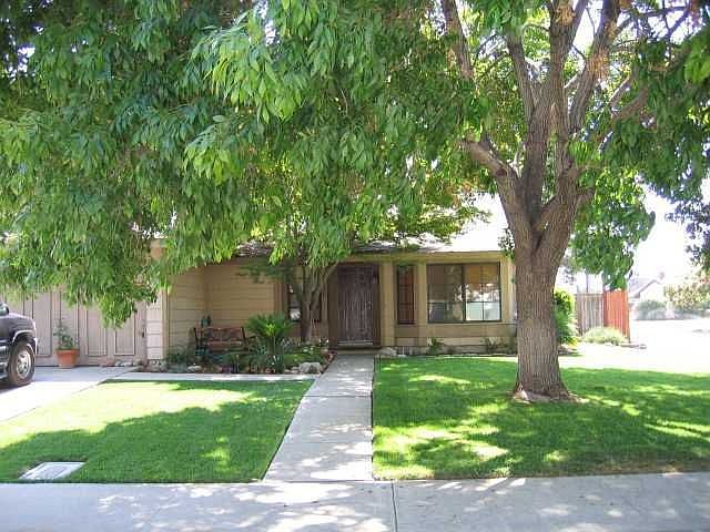 Tree-shaded front yard