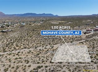 970 W Havasu Dr, Meadview, AZ 86444