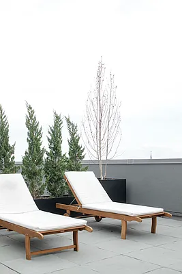 Rented by NY Living Solutions | media 19