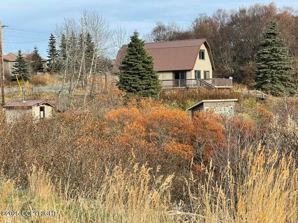 3239 Alaska Peninsula Hwy, South Naknek, AK 99670