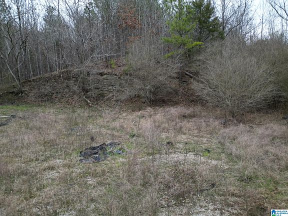 3rd image of 601 Eastwood Dr