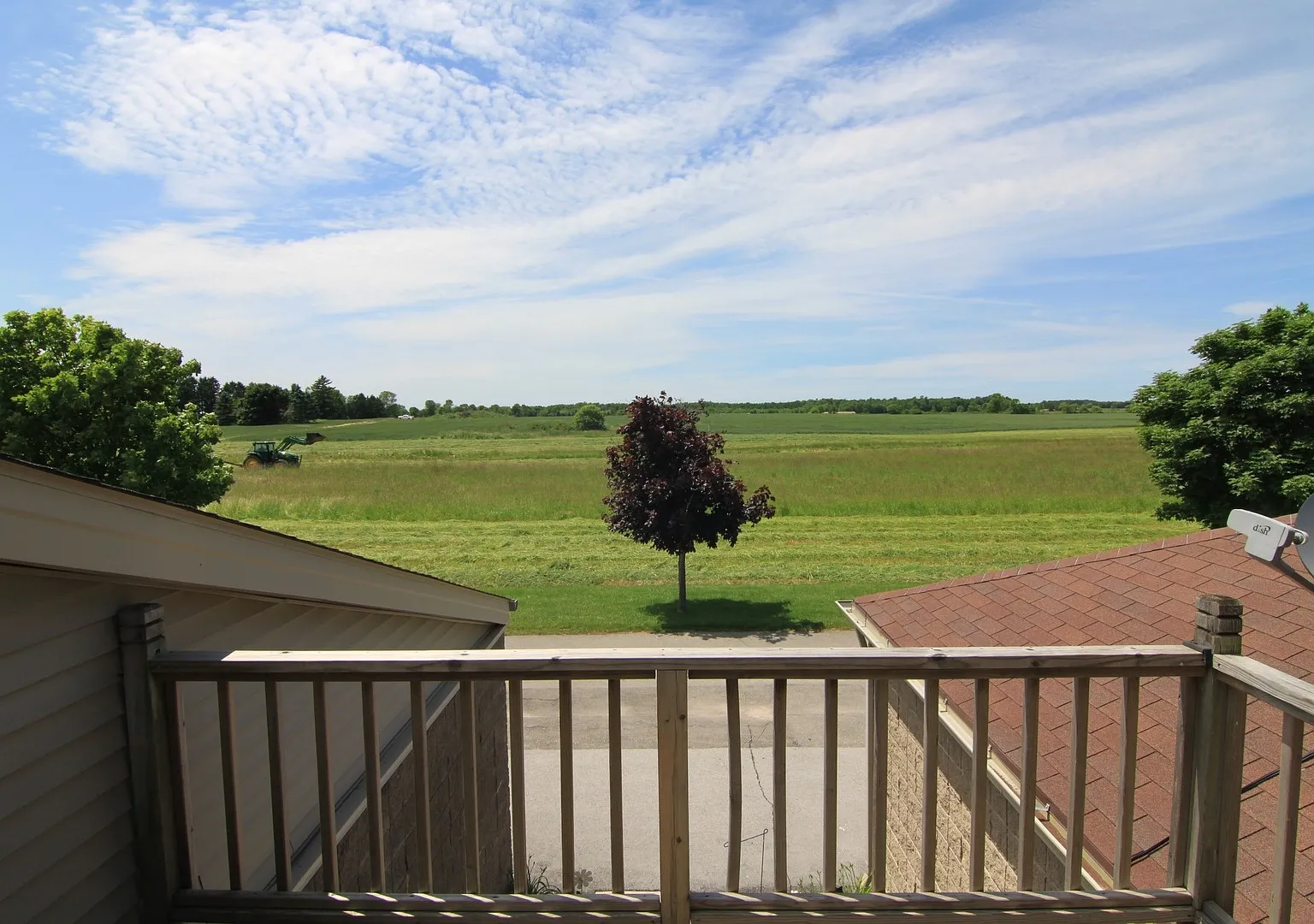 Sawgrass — Photo 2