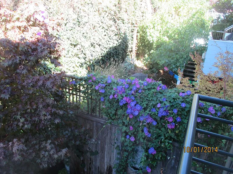 876 Castro St — Photo 32