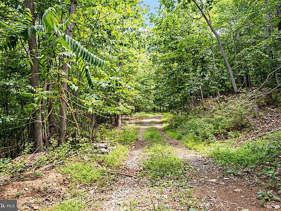 2nd image of LOT 7 Panther Ln