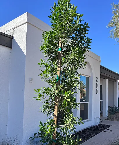 200 Bahia Ln E Photo 1 200 Bahia Ln E Photo 1