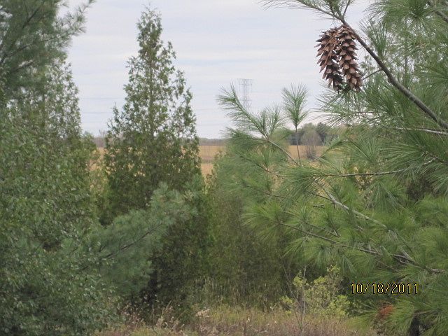 1st image of N4490 County Road I