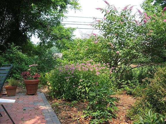 bricked patio 