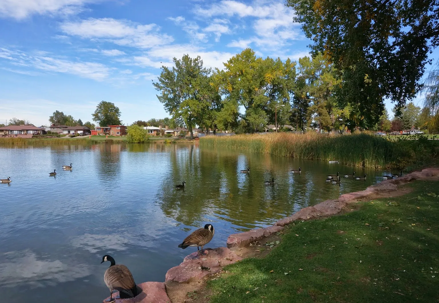 2 bed, 900 sqft, $1,395 — Photo 2