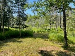 S Blue Springs Trl, Falmouth, MI 49632