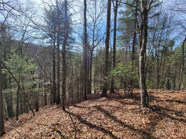 TBD (Lot 72) Creekside Meadows Drive, Fleetwood, NC 28626