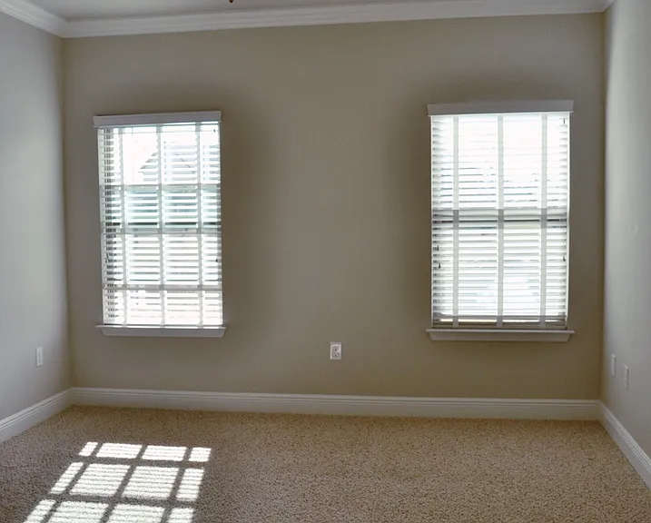 493 Cocobolo Dr — Photo 13