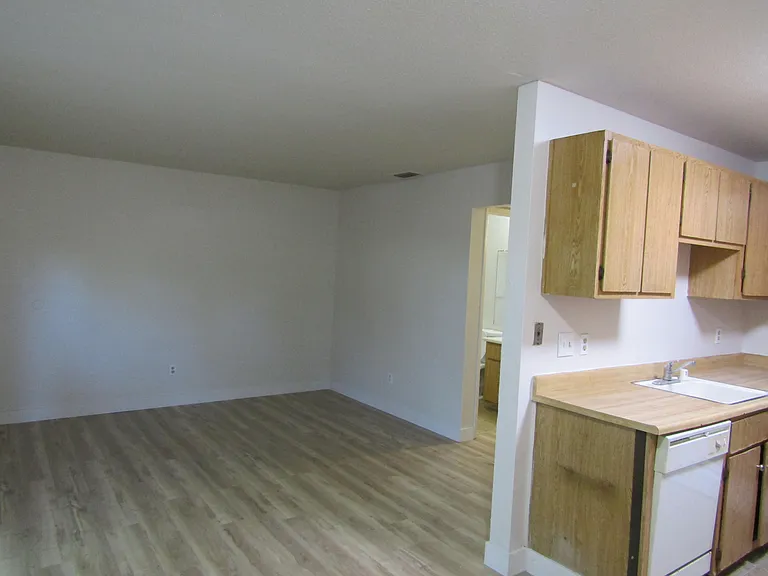 445 Jefferson Ave #11 — Photo 6