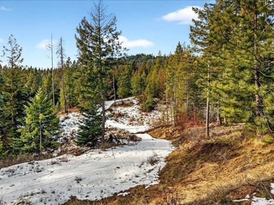 4467F Williamson Rd, Clayton, WA, 99110