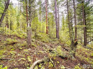 10862 Twin Spruce Rd, Golden, CO 80403