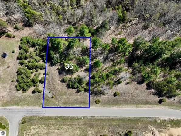 6345 Jeffrey Pl Lot 36, Grawn, MI 49637