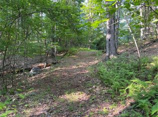 0 Canniff Rd #1, Cairo, NY 12413