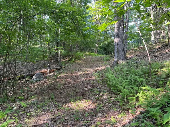 0 Canniff Rd #1, Cairo, NY 12413