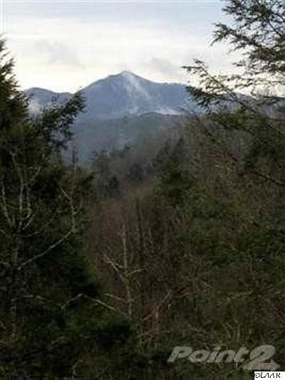 2nd image of Middle Fork Way