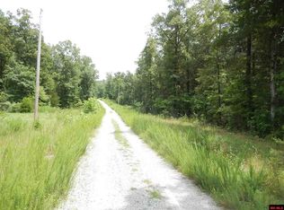 Jenkins Ln, Flippin, AR 72634