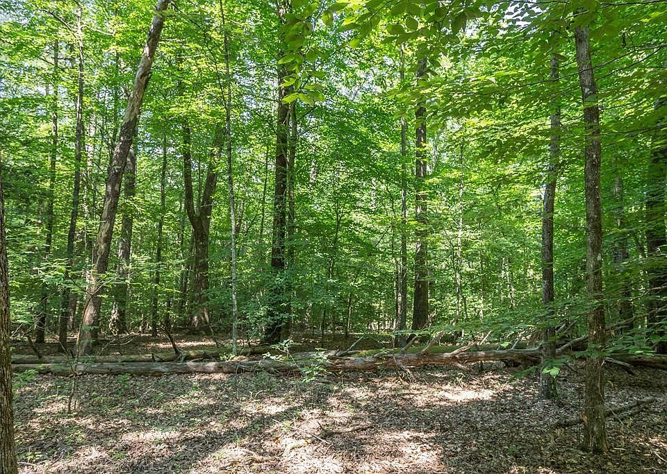 1st image of 3 Ownby Rd Lot 3B