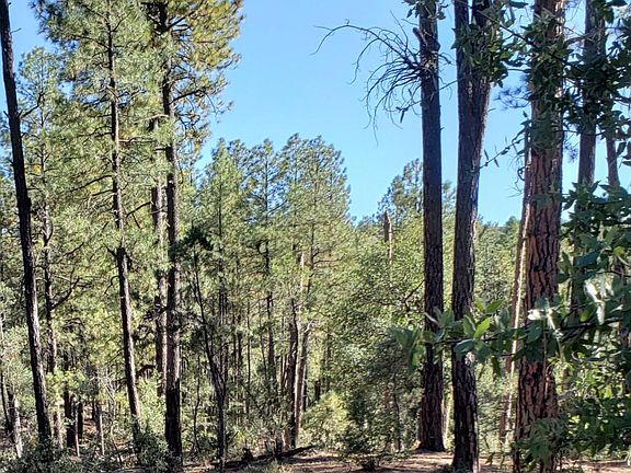 3rd image of 155 E NAIL RANCH Road #-