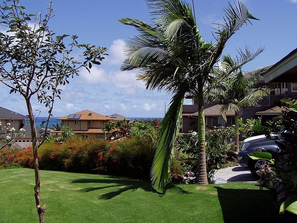 View From Front Yard