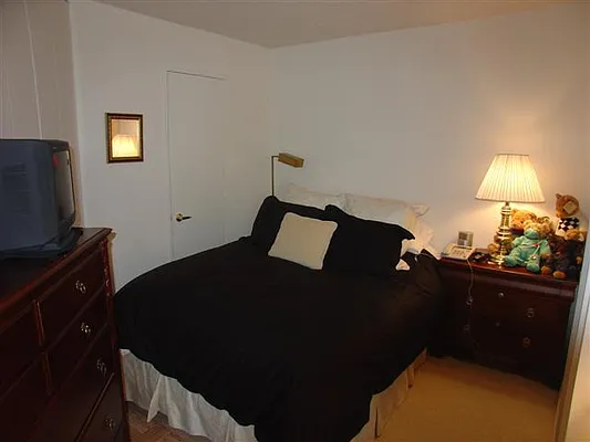 Rented by Luxury Habitat | media 42