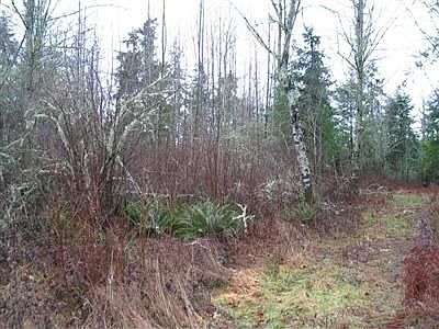 2nd image of 14810 146th Ln SE